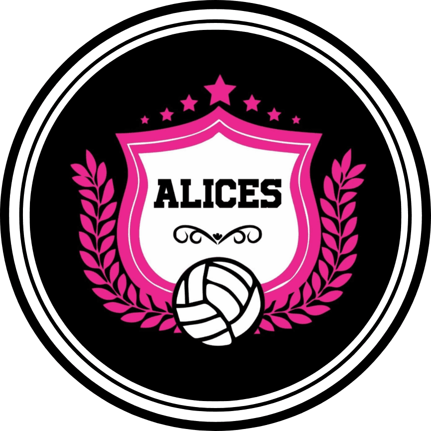 No momento, você está visualizando ALICES DO VOLEI