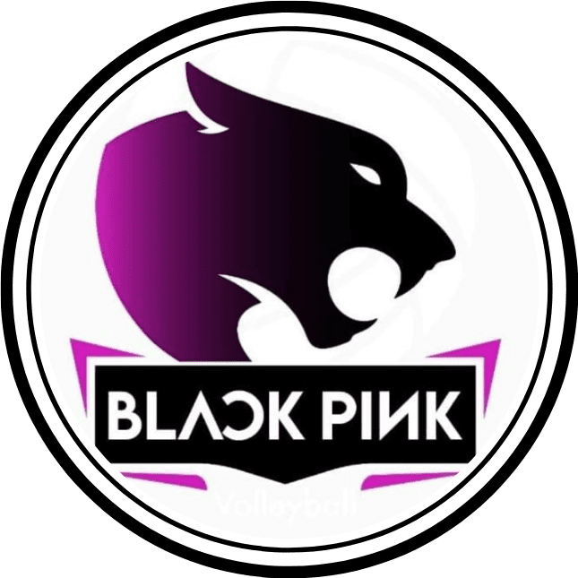 No momento, você está visualizando BLACKPINK