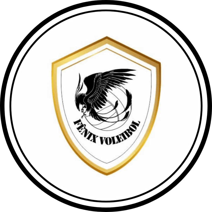 No momento, você está visualizando FENIX VOLEIBOL (B)